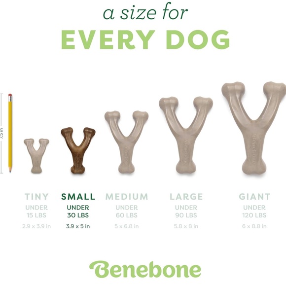 Bundle of 3 Benebone Wishbone Chew Toy for Dogs - bacon flavored, size small-NWT - Picture 8 of 8